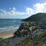 The whales are back in town 6 Sunshine Coast bus hire