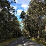Noosa Country Drive bus tour