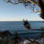The whales are back in town 4 Private bus tours